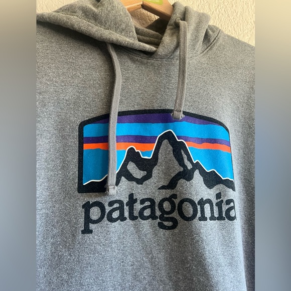 Unisex Patagonia Hoodie - Picture 2 of 6